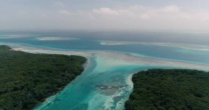 Aerial View Of Mangrove Forest and blue water canal. Pan rigth 