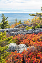 Colorful fall foliage decorates Bear Rocks overlooking the Appalachian Front in the Dolly Sodds Wilderness Area in the wild and wonderful West Virginia mountains.