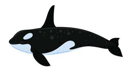 Cartoon killer whale. Underwater world, Marine life. Vector illustration of a whale. 