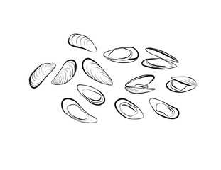 Mussels Black and White Line Art Vector Illustration