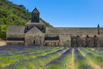 Abbaye de Senanque et champs de lavandes, France