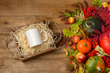 White coffee mug mockup with gift box and fall leaves