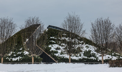 The decorative hill in the winter city park is covered with evergreens. Snow on the ground and on...
