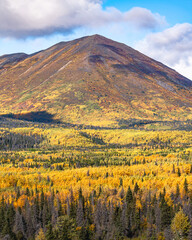 Landscape views from north America on part of the Alaska Highway with the huge mountains of Kluane National Park, Haines Junction. 