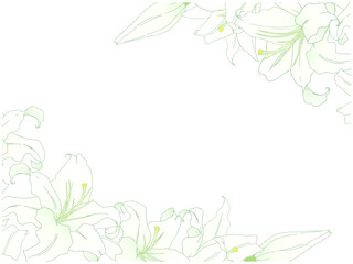 百合の花のフレーム①横_ななめ