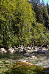 Naklejka na ściany i meble Canadian Forest and River in North Vancouver, BC, Canada. Wet stones in the flowing river with forest in the background.