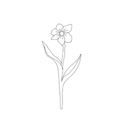 Vector illustration of one black flower isolated on a white background