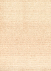 Striped cardboard texture. Horizontal or vertical banner with paper texture