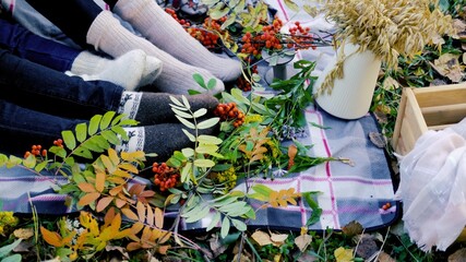 Close-up of children's feet with warm socks on the background of a plaid with twigs of autumn rowan. Picnic in nature in autumn