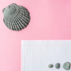 Minimalistic notebook sheet and seashell on pink background