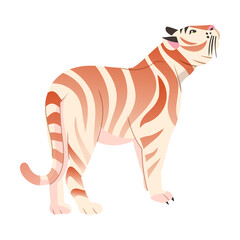 Fototapeta na wymiar White tiger animal. Side view of wild cat vector illustration
