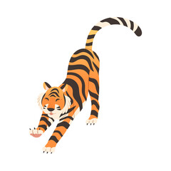 Tiger stretching himself. Big wild cat animal vector illustration
