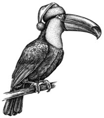 black and white engrave isolated toucan illustration © Turaev
