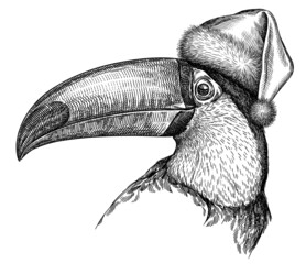 black and white engrave isolated toucan illustration © Turaev