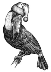 black and white engrave isolated toucan illustration © Turaev