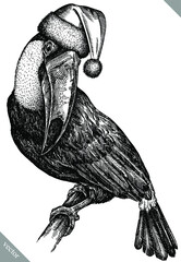 black and white engrave isolated toucan illustration © Turaev