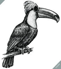 black and white engrave isolated toucan illustration © Turaev