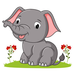 The elephant is sitting the garden