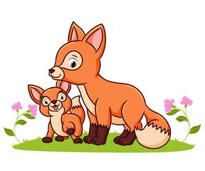 The two foxes are playing in the garden