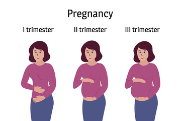 Pregnancy stages. Pregnant woman standing, smiling and touching belly in different trimester periods. Body changes, belly grows. Vector infographics - obrazy, fototapety, plakaty