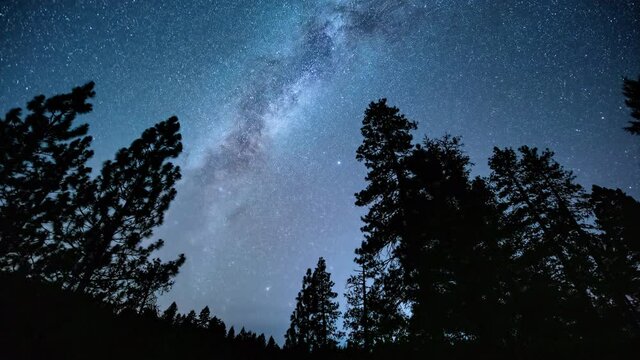 Time Lapse - Beautiful Milky Way Galaxy above Trees