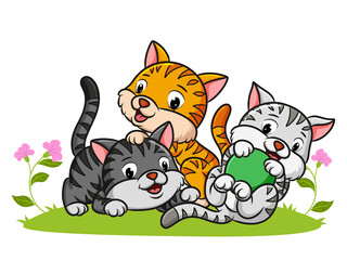 The three kittens are playing together