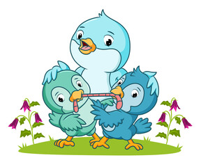 The two little bird scramble the worm