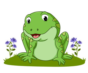 The frog is playing on the grass