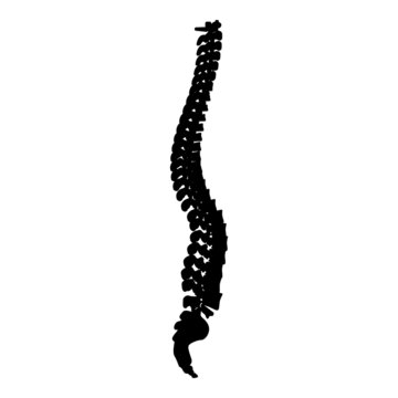 Spinal vertebral column spine backbone icon black color vector illustration flat style image