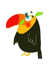 Cute toucan bird on branch
