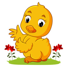 The baby bird is giving the thumb up with the happy face