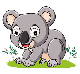 The koala is sitting and playing on the garden