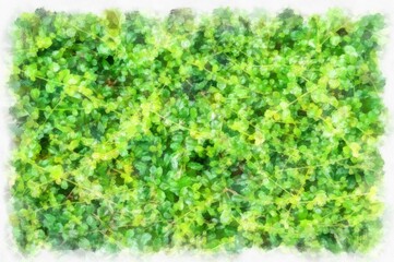 bush tree watercolor style illustration impressionist painting.