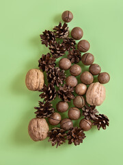 Christmas or New Year natural composition of nuts and cones in the form of the fir tree on the green background. Beige and green greeting card for your design.