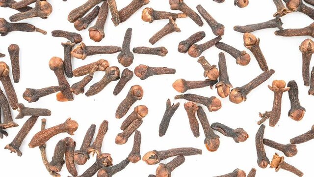 top view herb DingXiang or Caryophylli Flos or Clove rotating