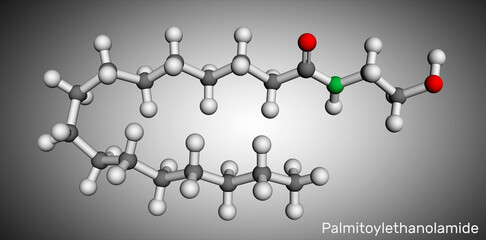 Palmitoylethanolamide, palmitoyl ethanolamide, palmidrol, PEA molecule. It is endogenous fatty acid amide, used as prophylactic of respiratory viral infection. Molecular model. 3D rendering