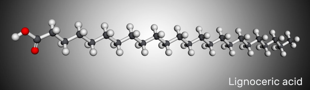 Lignoceric acid, tetracosanoic acid, saturated fatty acid molecule. Occurs naturally in wood tar, in small amount in most natural fats. Molecular model. 3D rendering