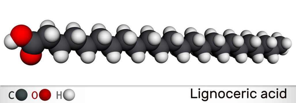 Lignoceric acid, tetracosanoic acid, saturated fatty acid molecule. Occurs naturally in wood tar, in small amount in most natural fats. Molecular model. 3D rendering