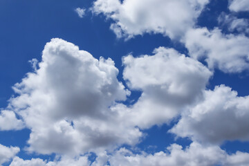 Obraz premium A group of white cumulus clouds in the blue sky background. The shape of the independent nature.