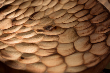 Wooden texture of handcrafted wood serving boards