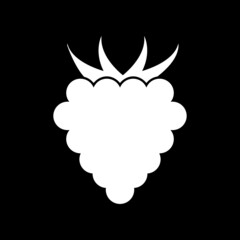 Raspberry icon isolated on dark background