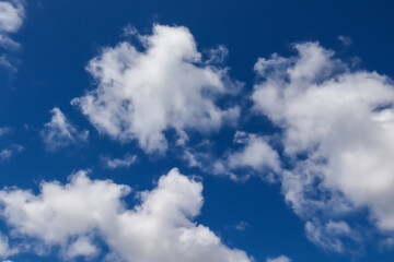 Obraz premium A group of white cumulus clouds in the blue sky background. The shape of the independent nature.