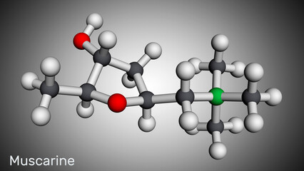 Muscarine or muscarin molecule. It is toxic alkaloid found in Amanita muscaria, fly fungus. Molecular model. 3D rendering