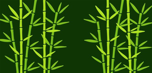 Green Bamboo Grass on Dark Background. Hand Drawn oriental chinese plant vector illustration