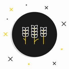 Line Cereals set with rice, wheat, corn, oats, rye, barley icon isolated on white background. Ears of wheat bread symbols. Colorful outline concept. Vector