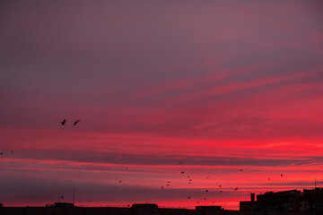 Fototapeta na wymiar city sunrise close up red sky