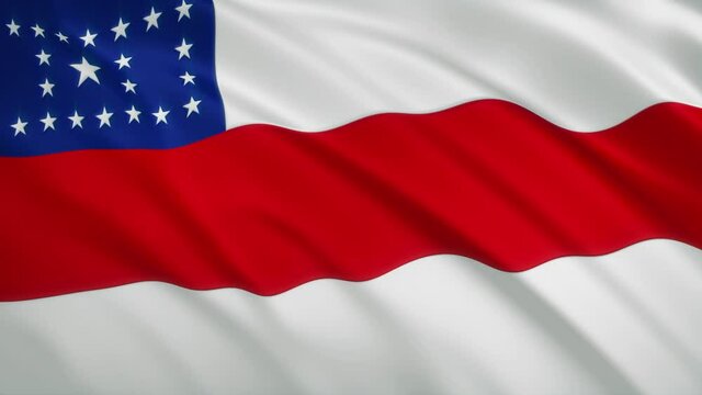 Amazonas - Waving Flag Video Background - Brazil State