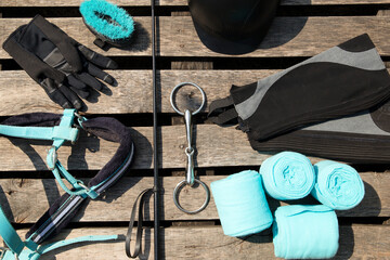 Equipment for horse care and riding: brushes of various sizes and purposes, bridle, whip, helmet,...