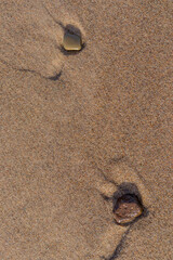 Schöner Strandspaziergang an der polnischen Ostsee vor den Toren von Mielno - Polen