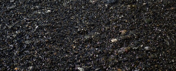 Background and texture. Wet multicolored sea pebbles under a layer of water